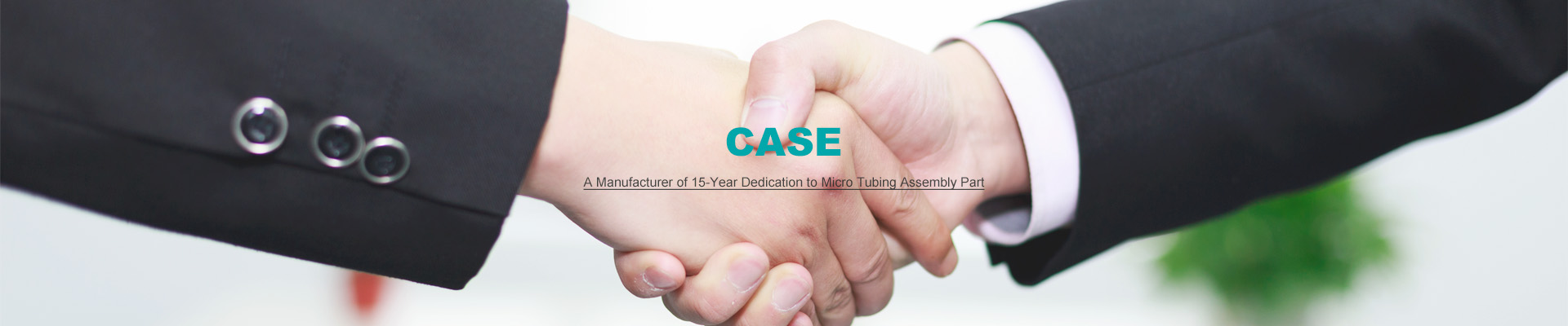 Case